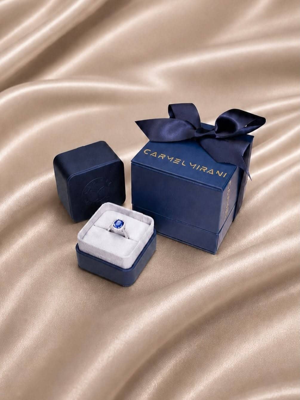 Carmel Mirani gallery image 2