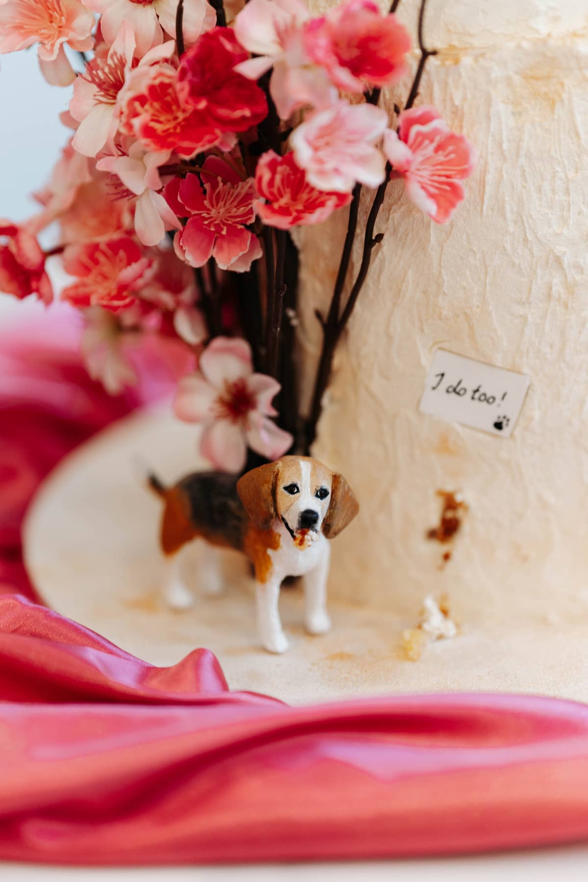 Pawfect Love gallery image 4