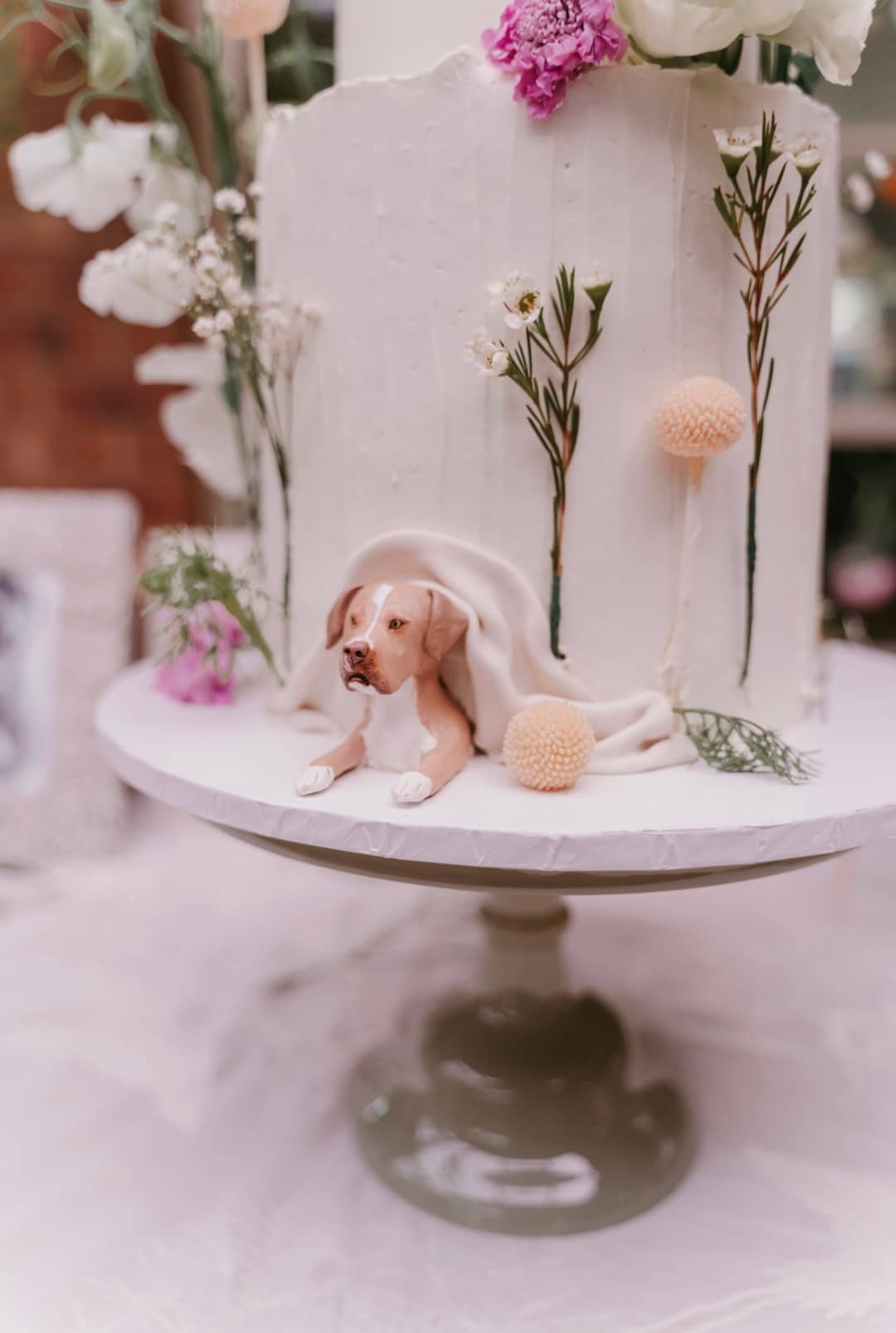 Pawfect Love gallery image 6