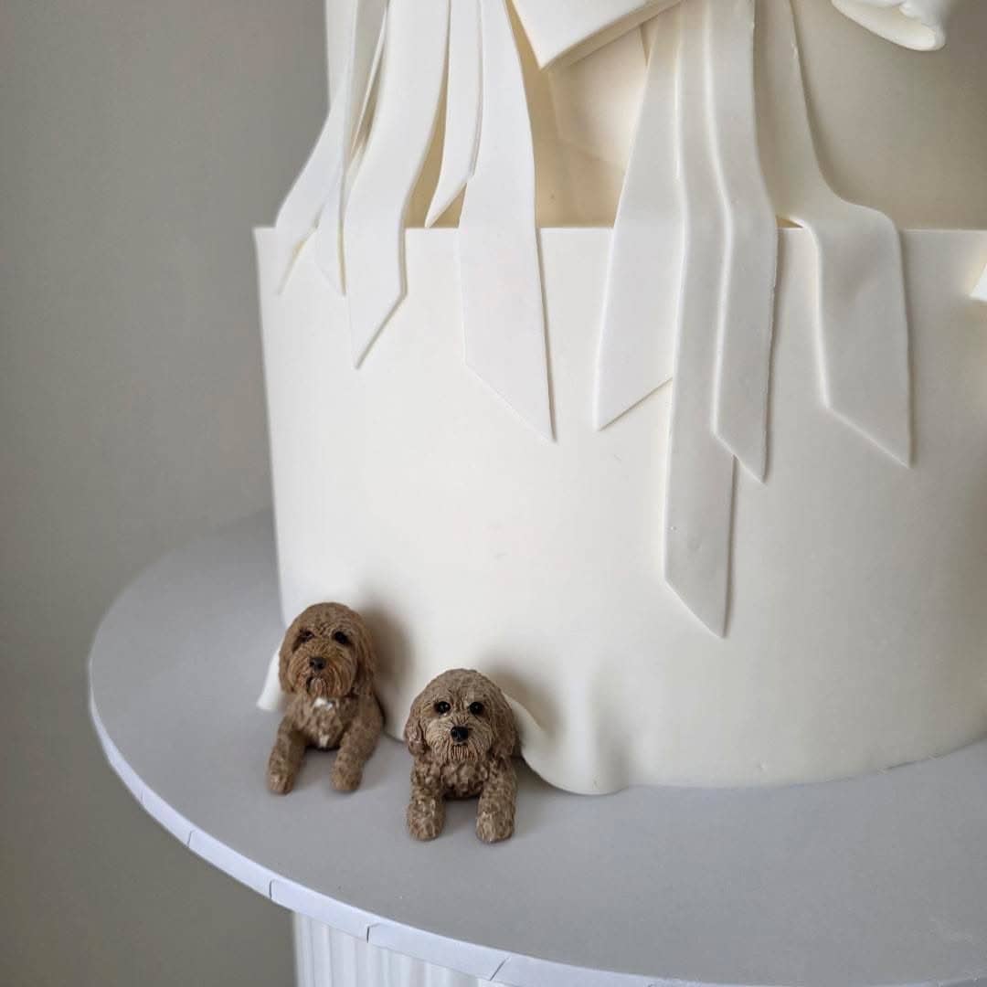 Pawfect Love gallery image 8