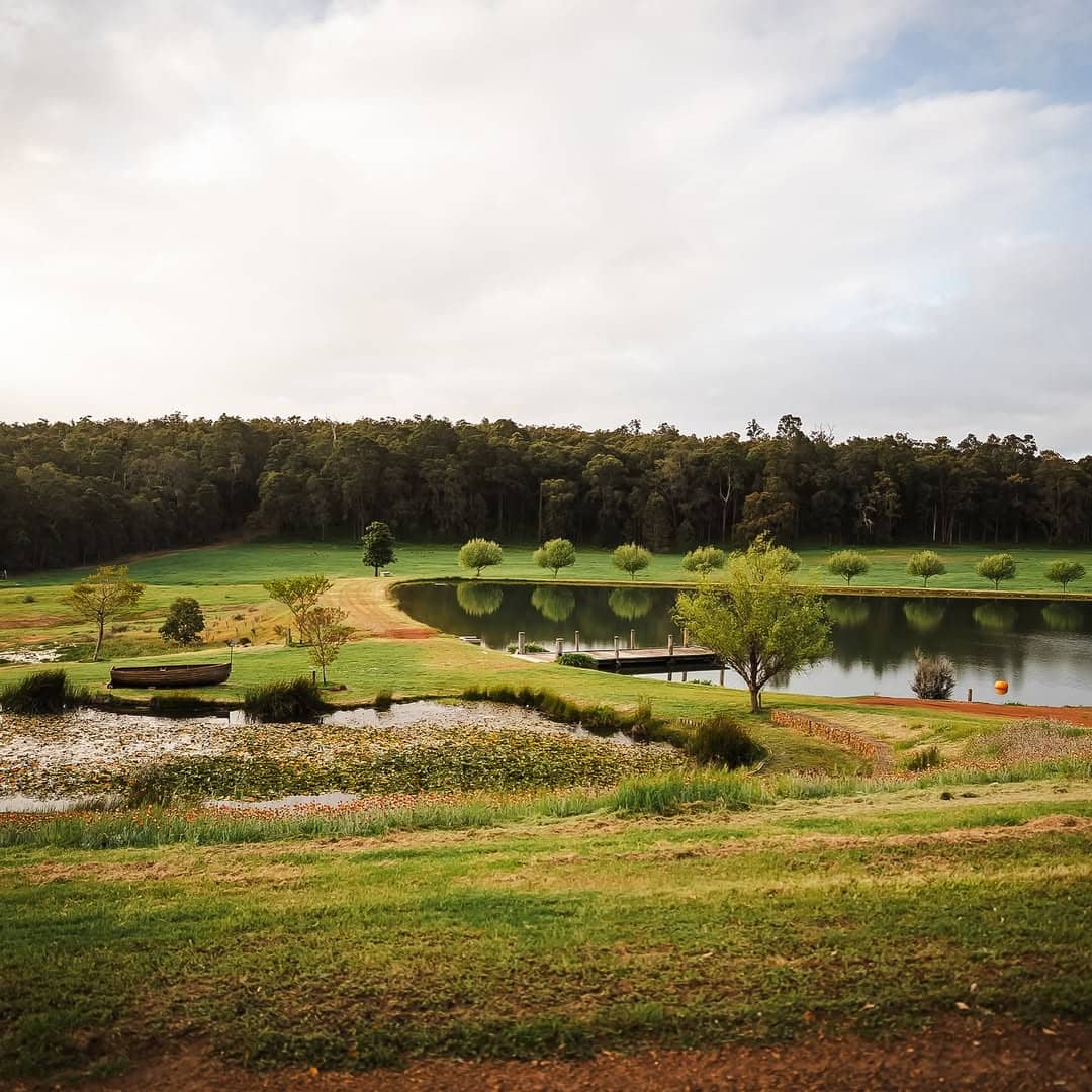 Redgum Wine Estate gallery image 8