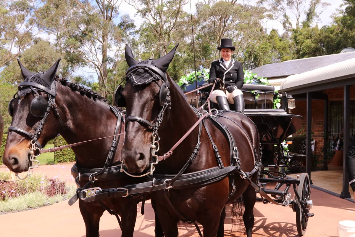Cinderella Arrivals - Image 1
