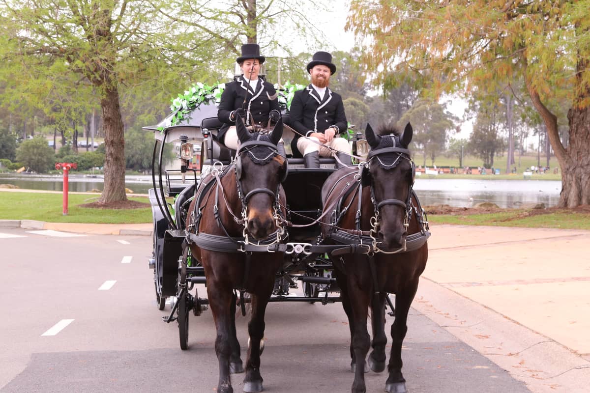 Cinderella Arrivals - Image 6