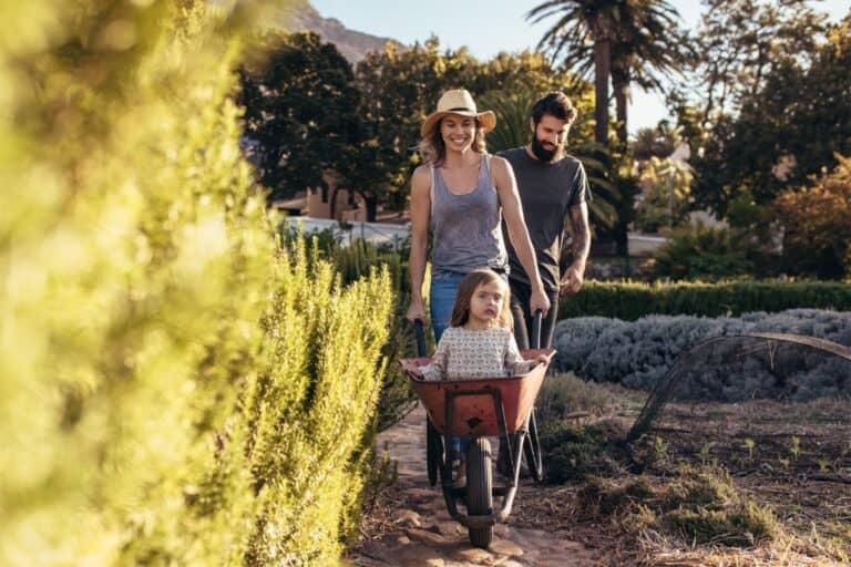 Financia Avenue - Image 4