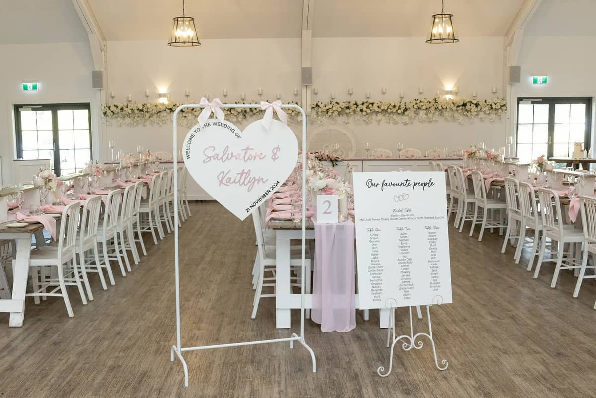 Pink Swann - Image 3