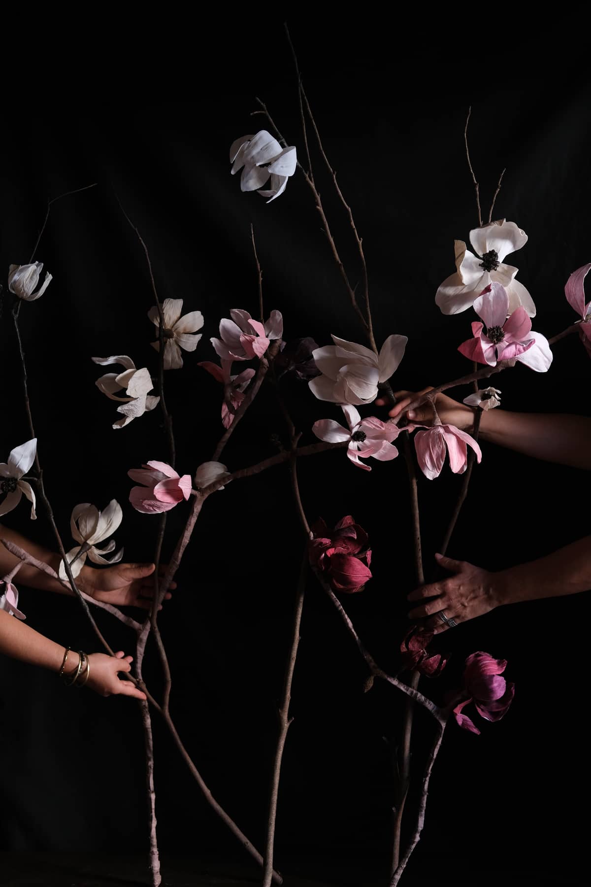 Fleurs Excentriques - Image 2