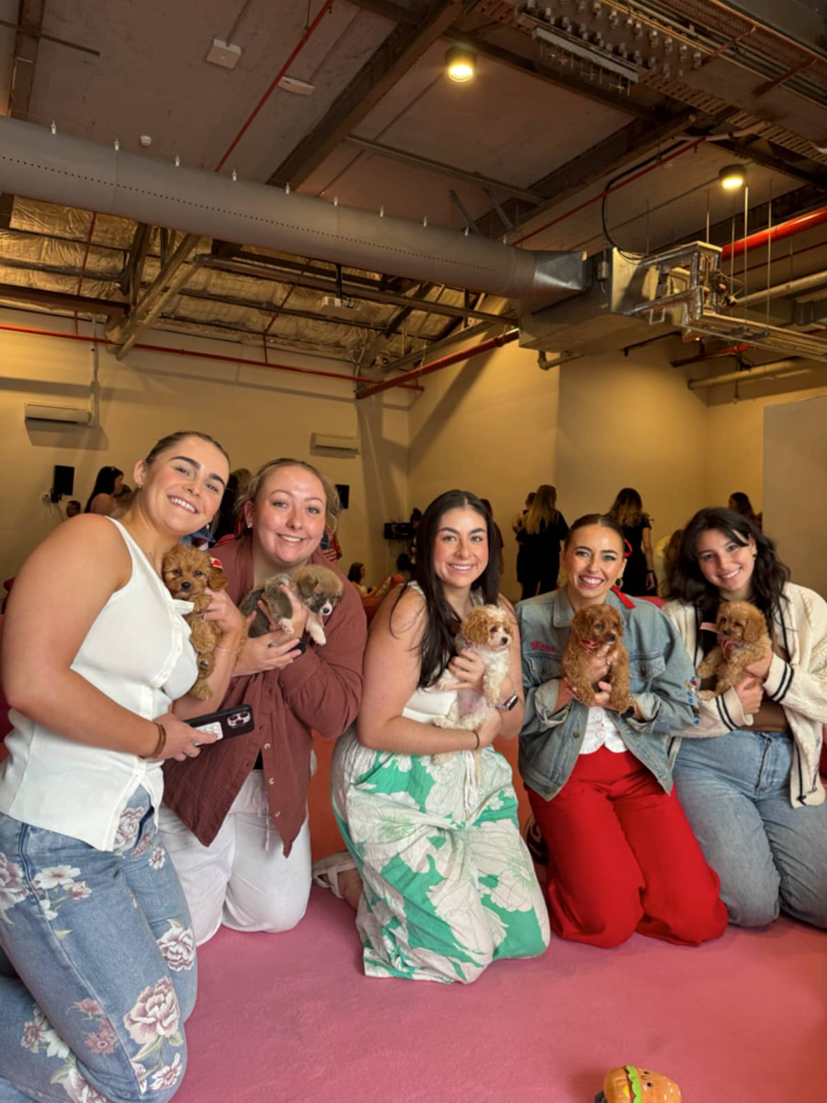 Puppy Yoga Melbourne - Image 3