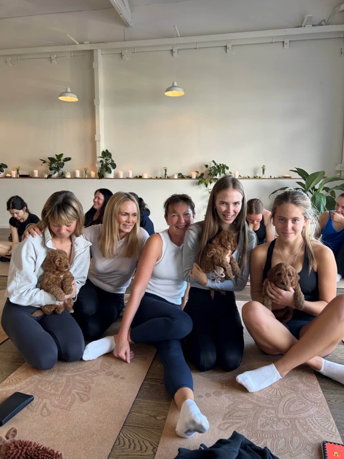 Puppy Yoga Melbourne - Image 5