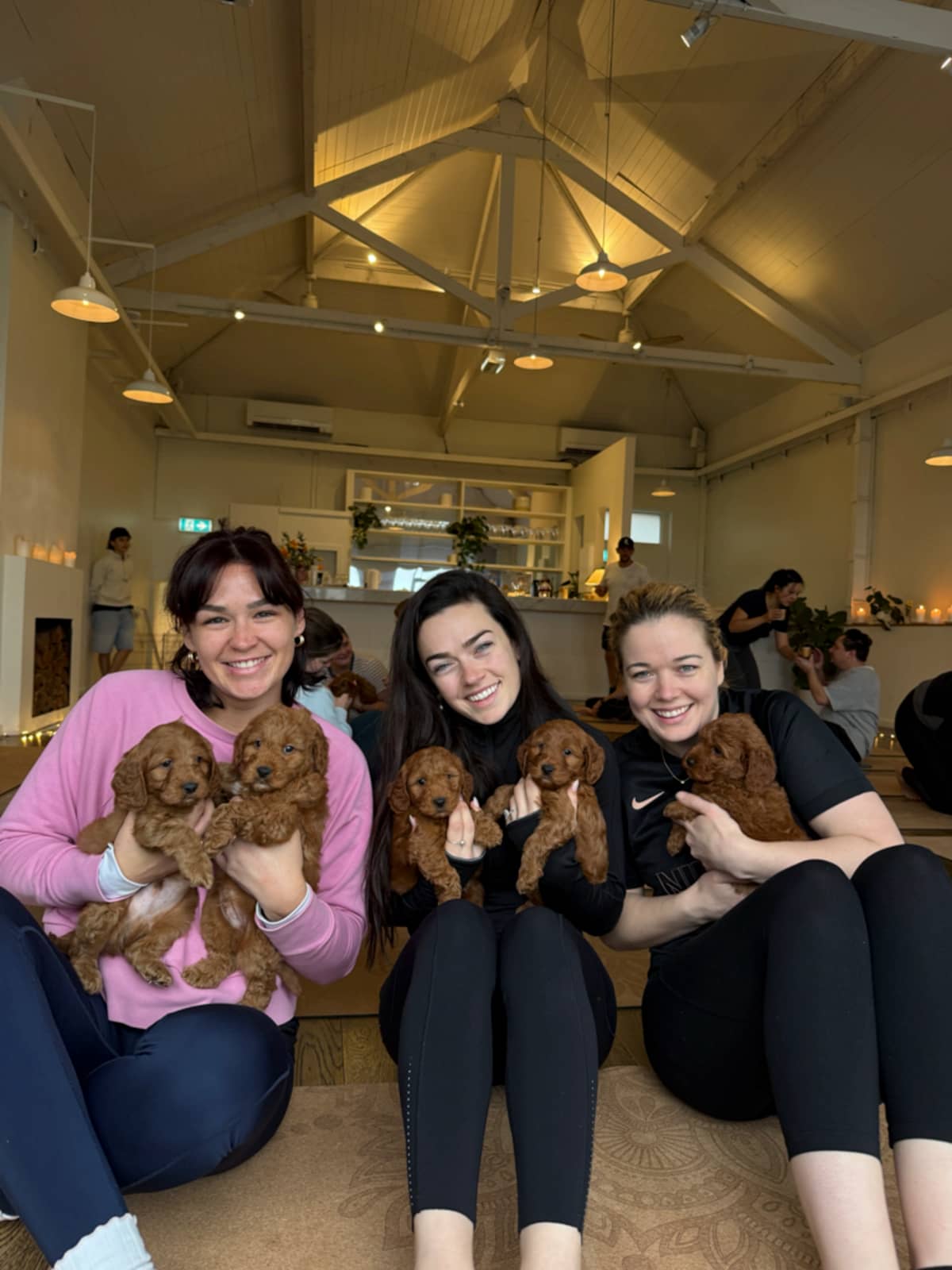 Puppy Yoga Melbourne - Image 7