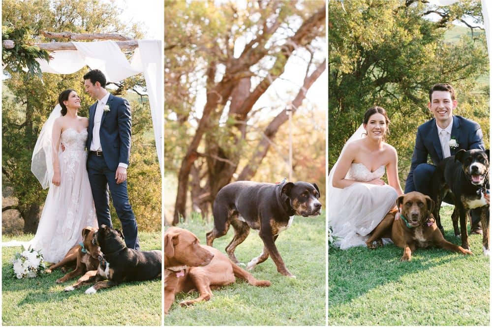 Nick Thake Photography - Image 6