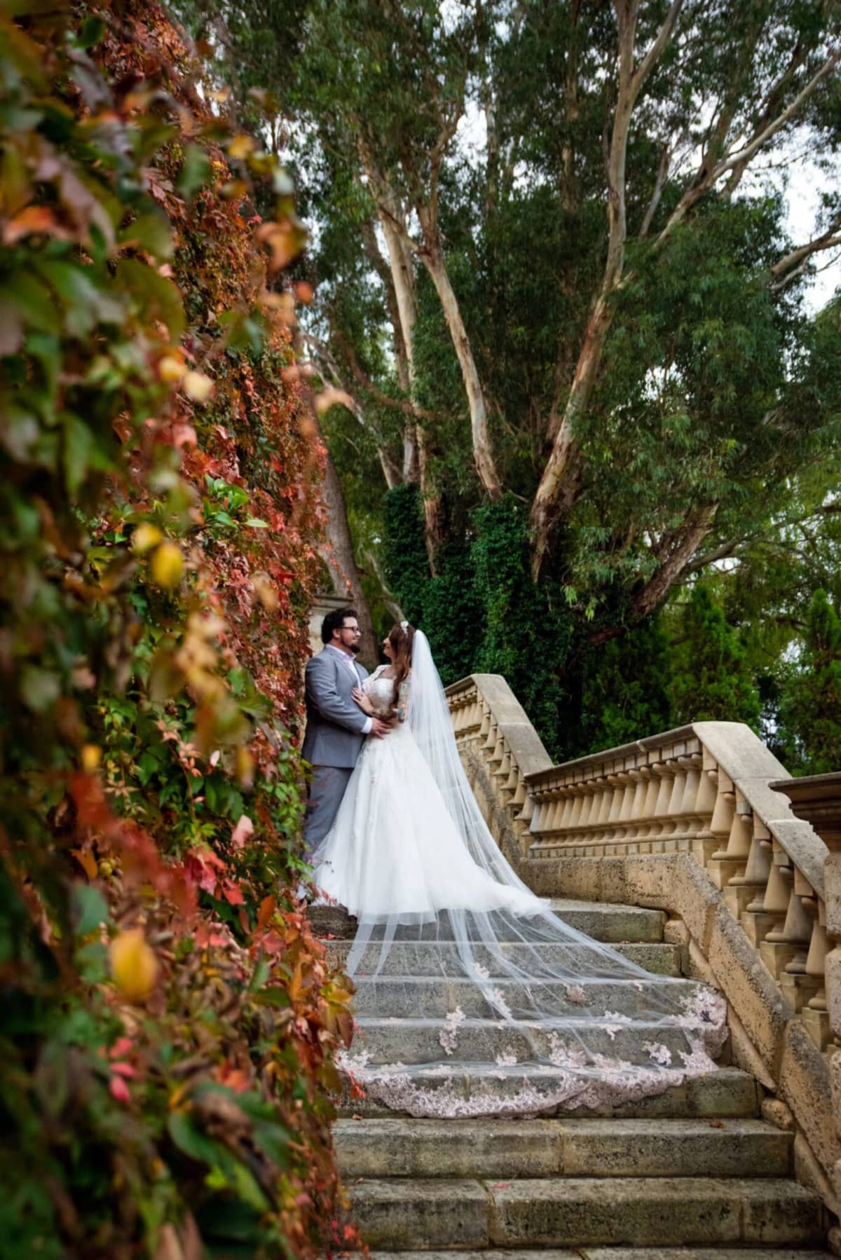 Fox and Luna Photography - Image 3