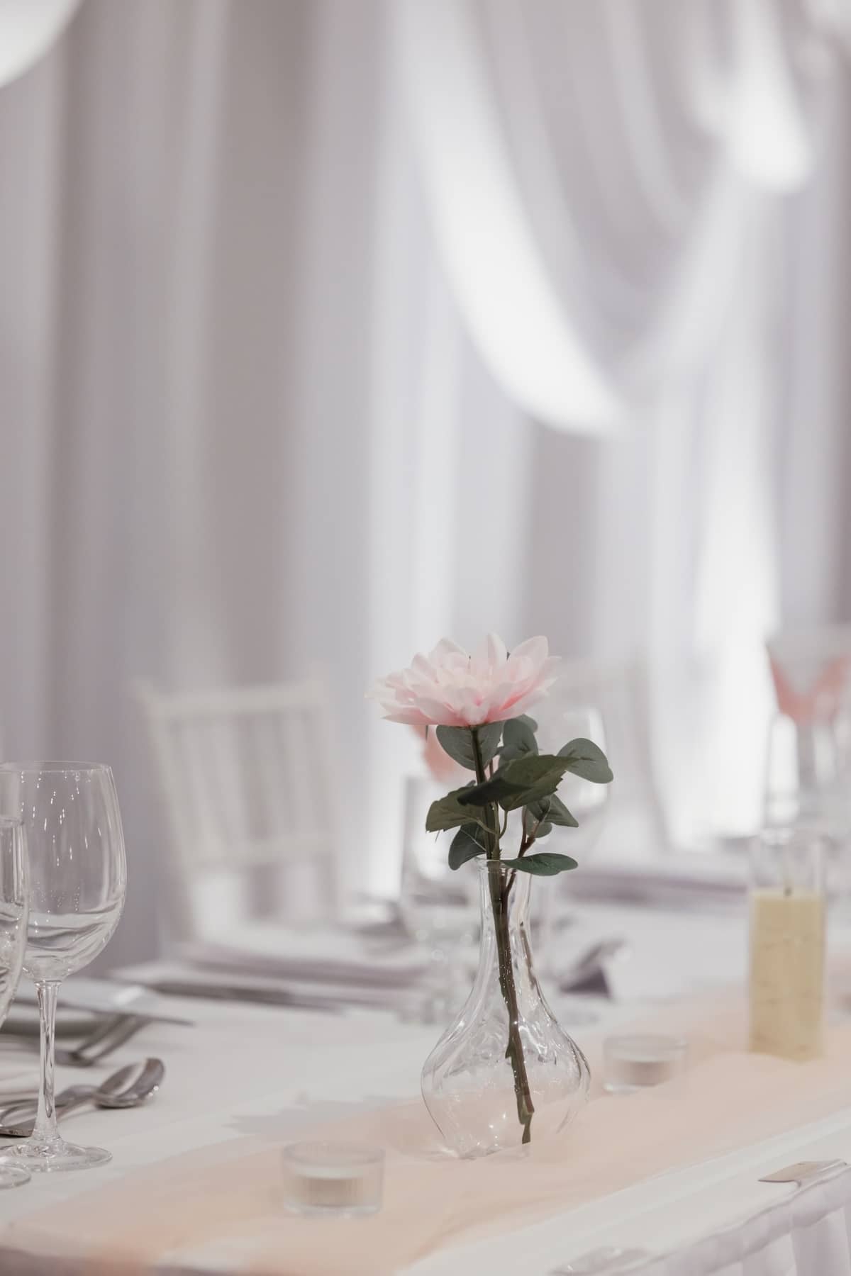 Blush Botanica - Image 1