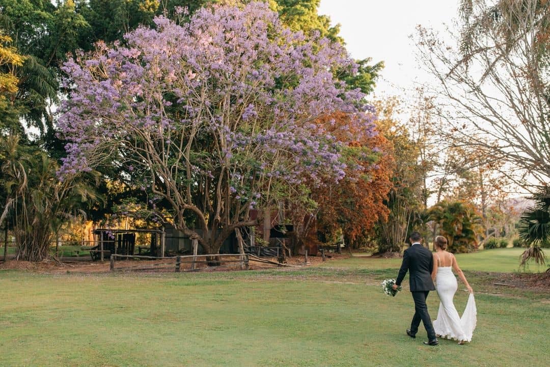 Boomerang Farm - Image 3