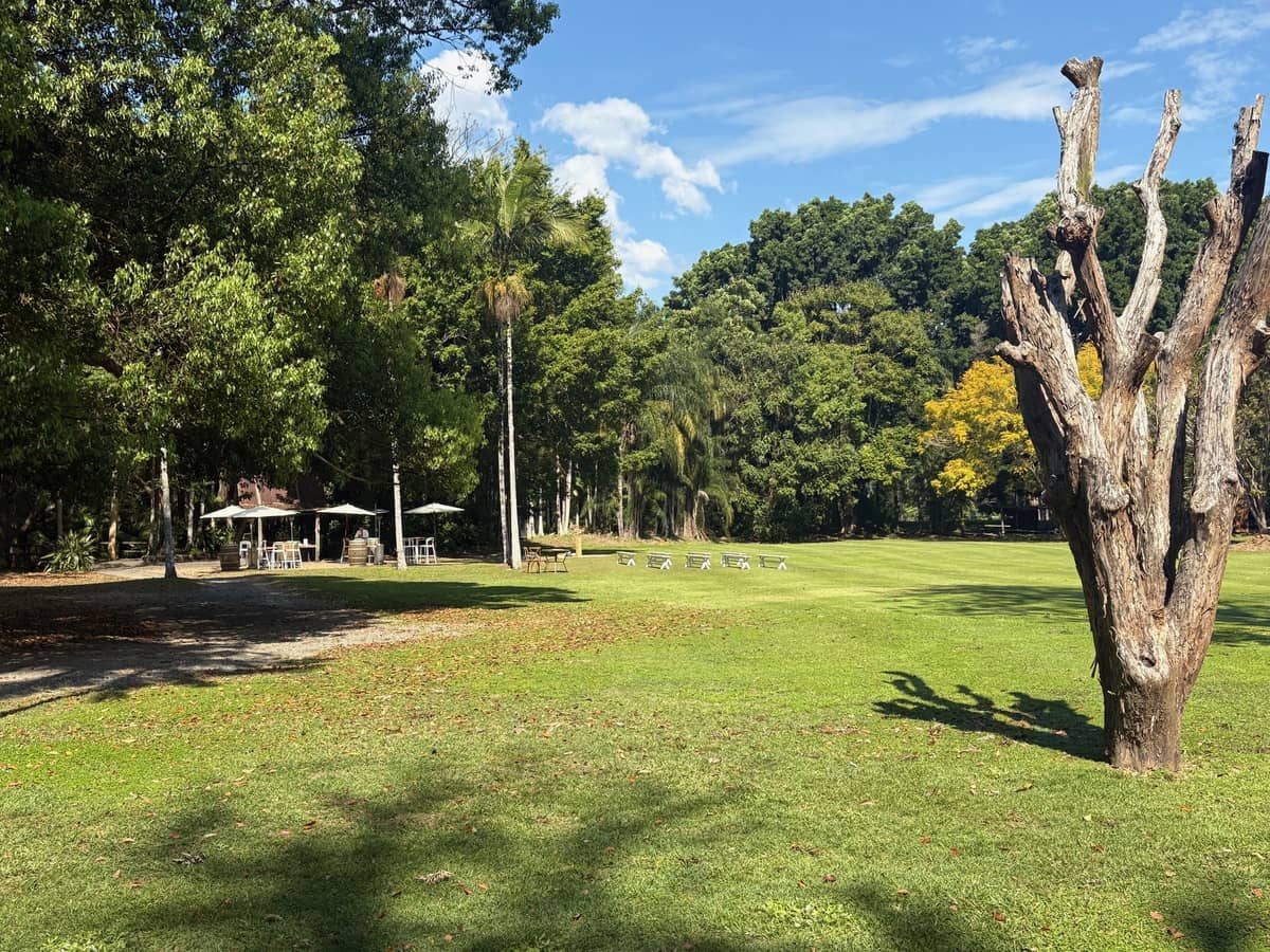 Boomerang Farm - Image 5