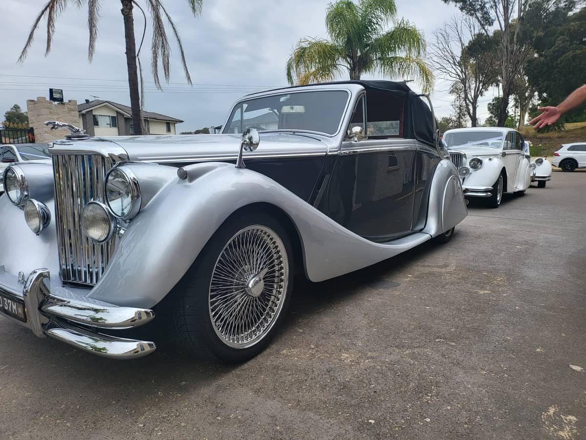 The Vintage Chauffeur - Image 1