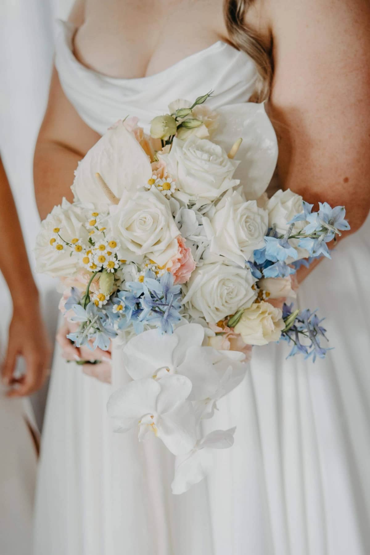 Sydney`s Flowers - Image 3