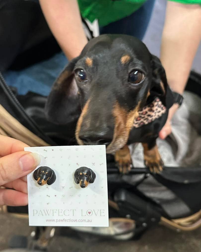 Pawfect Love - Image 1