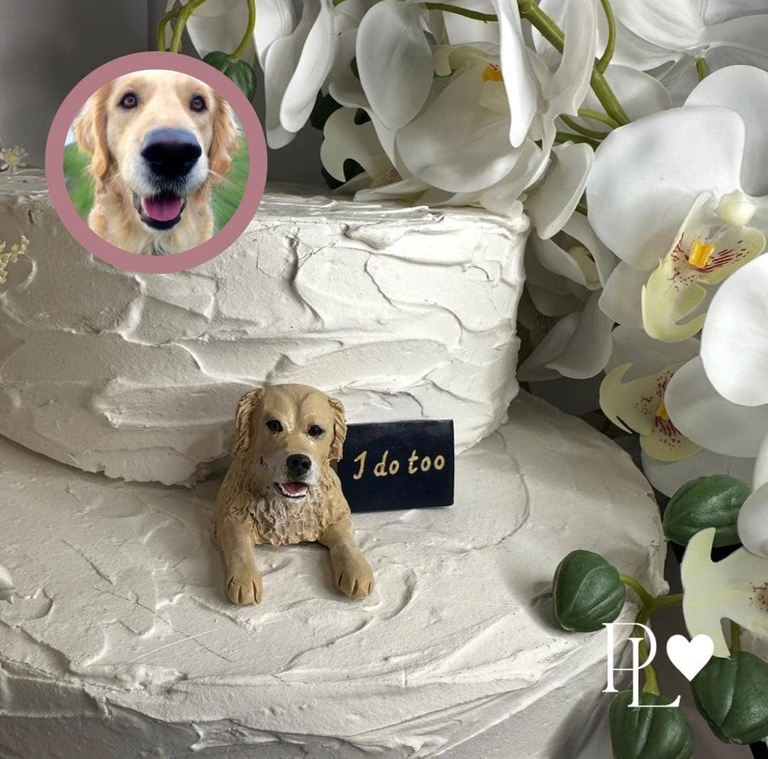 Pawfect Love - Image 2