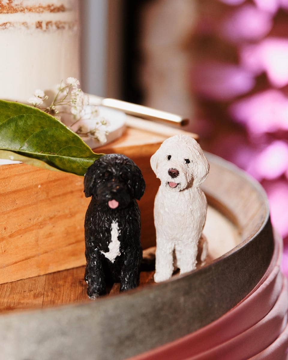 Pawfect Love - Image 5