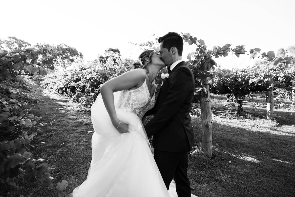 Paul Winzar Photography - Image 4