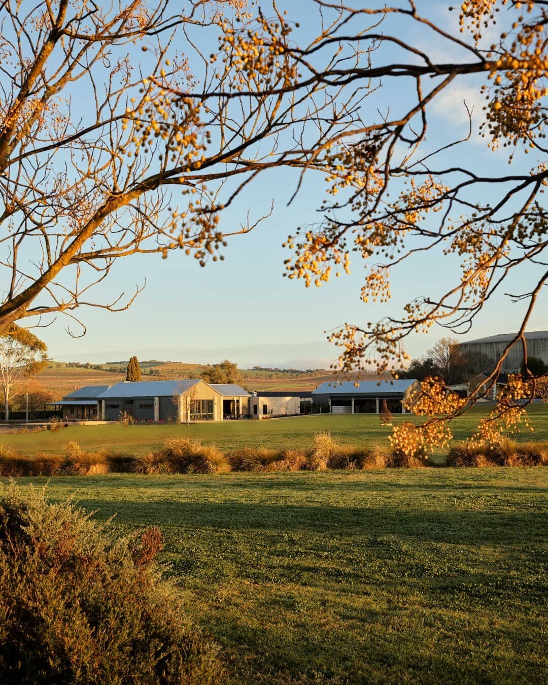 Taylors Wines - Image 1