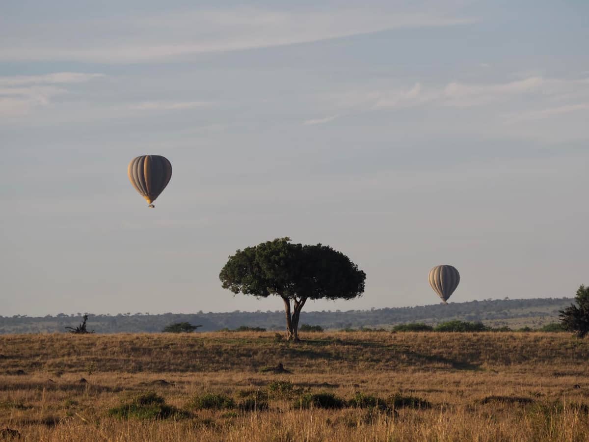 Travel by Courteney - Image 8