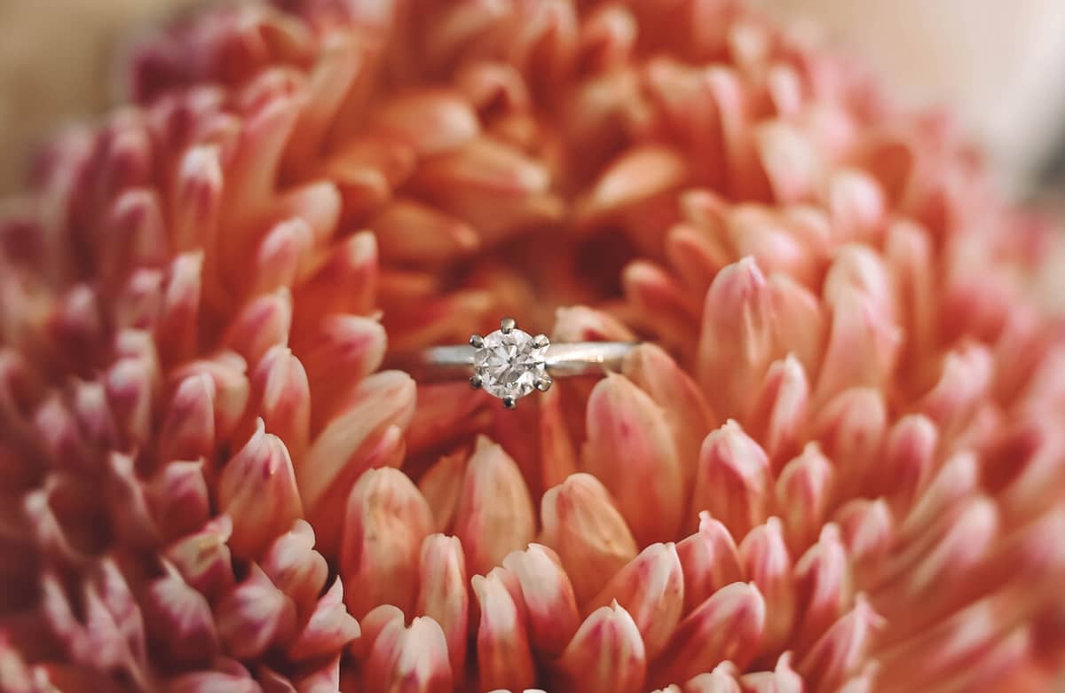 Life Chapters Photography - Image 2