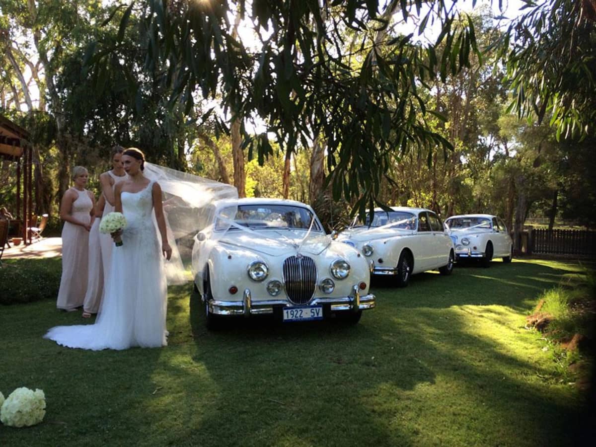 Jaguar Classic Hire - Image 8
