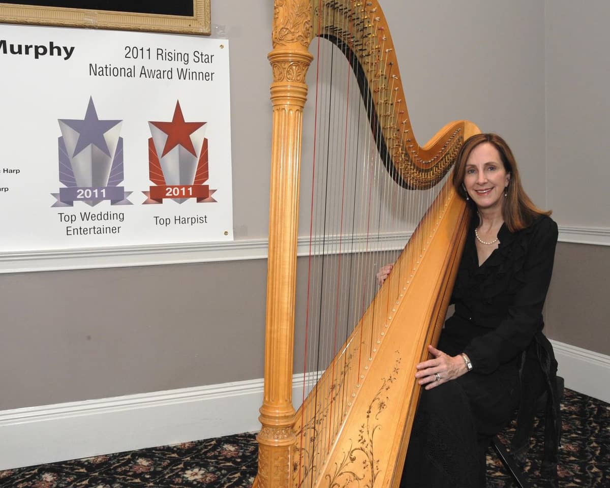 Harp Elegance by Eva - Image 5