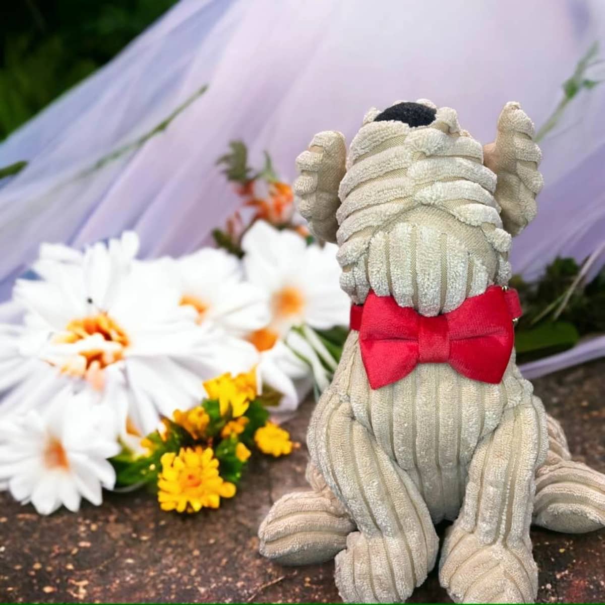 Piomotto Pets - Image 4