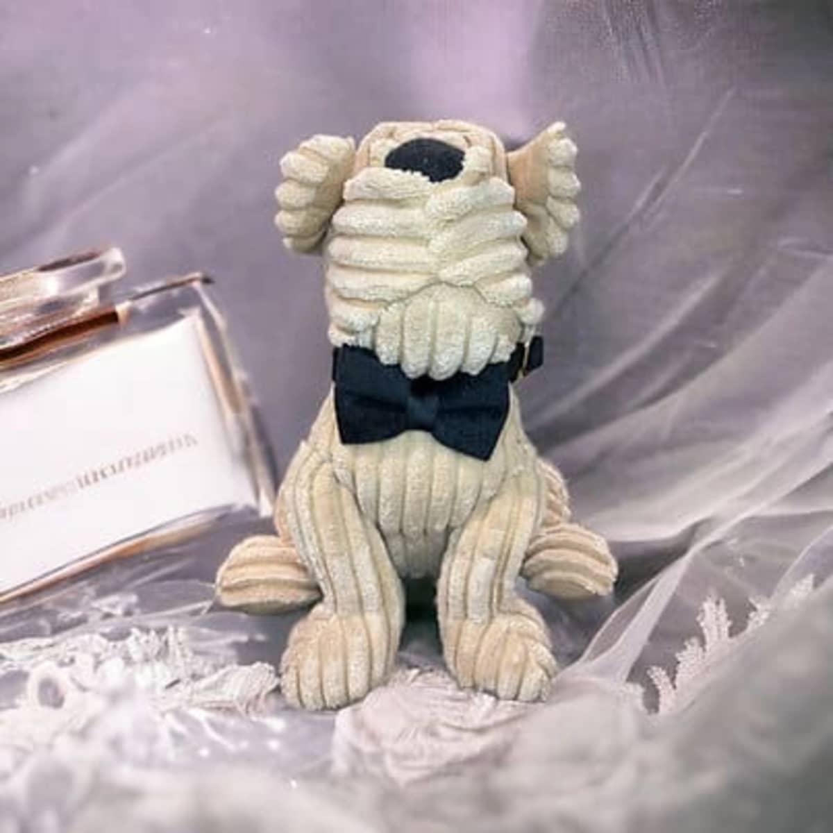 Piomotto Pets - Image 5