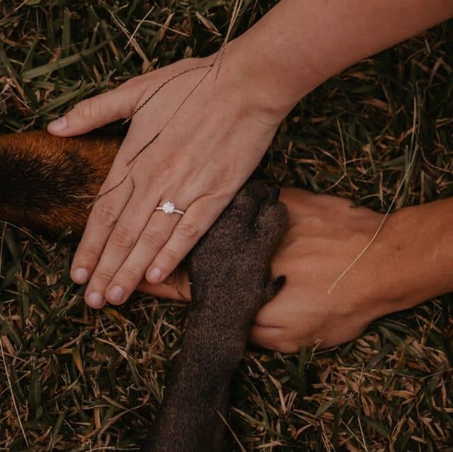 Wed Me Forever - Image 6
