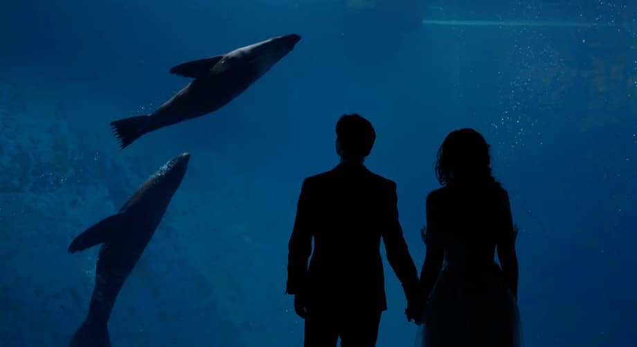Creative Wedding Films - Image 8