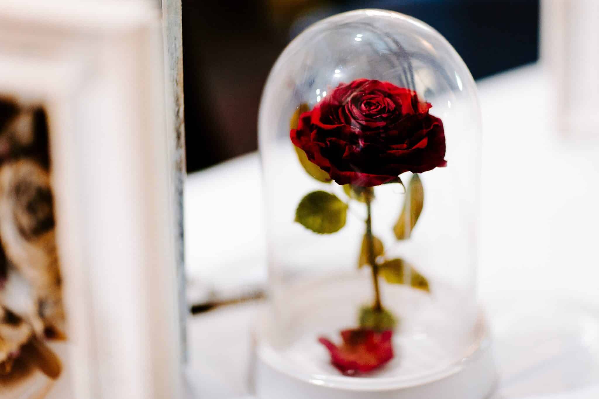 Adelaide's Annual Wedding Expo