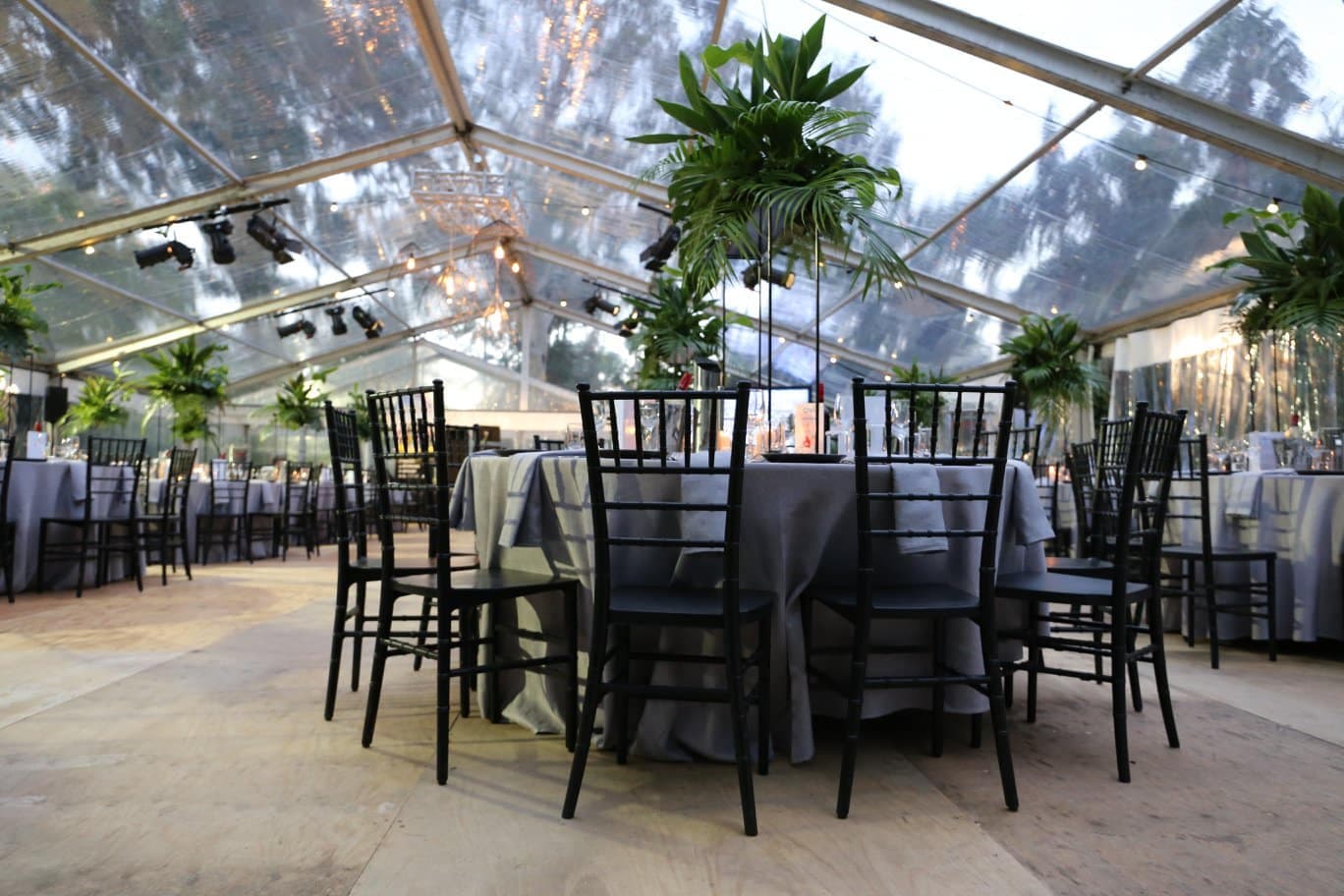 Quality Events at Adelaide Zoo wedding vendor