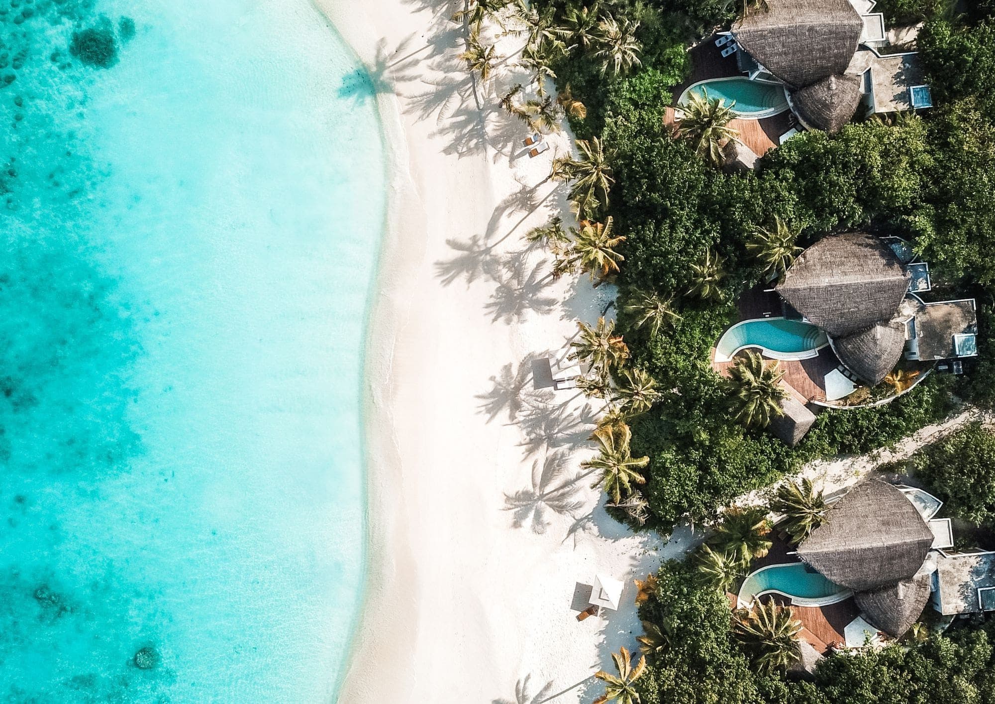 EnPerSo Leisure Travel wedding vendor
