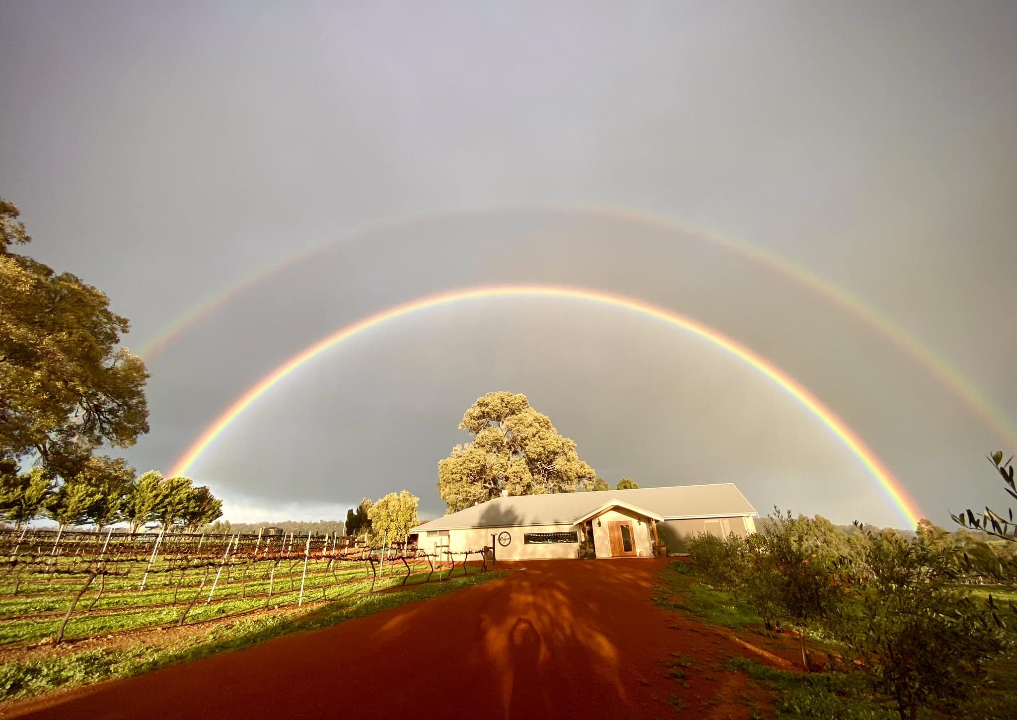 Redgum Wine Estate wedding vendor