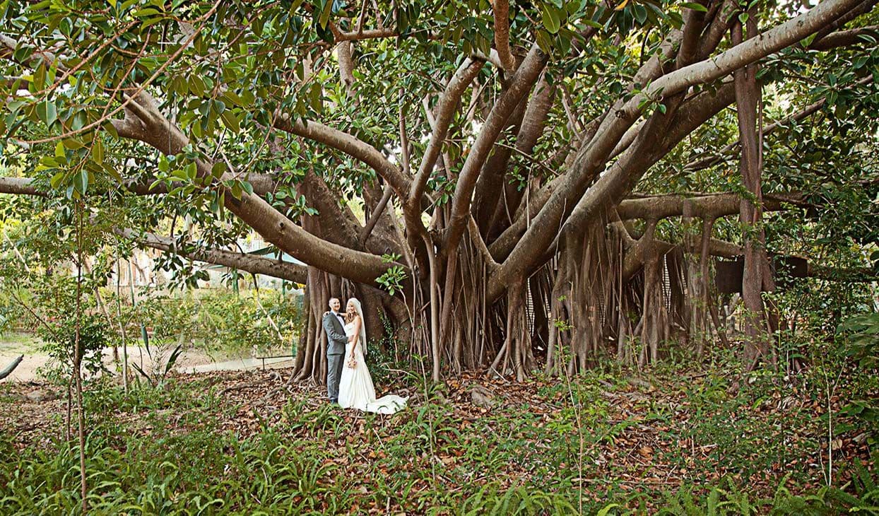 The Homestead at Currumbin Sanctuary wedding vendor
