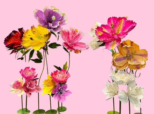 Fleur and Fauna hero