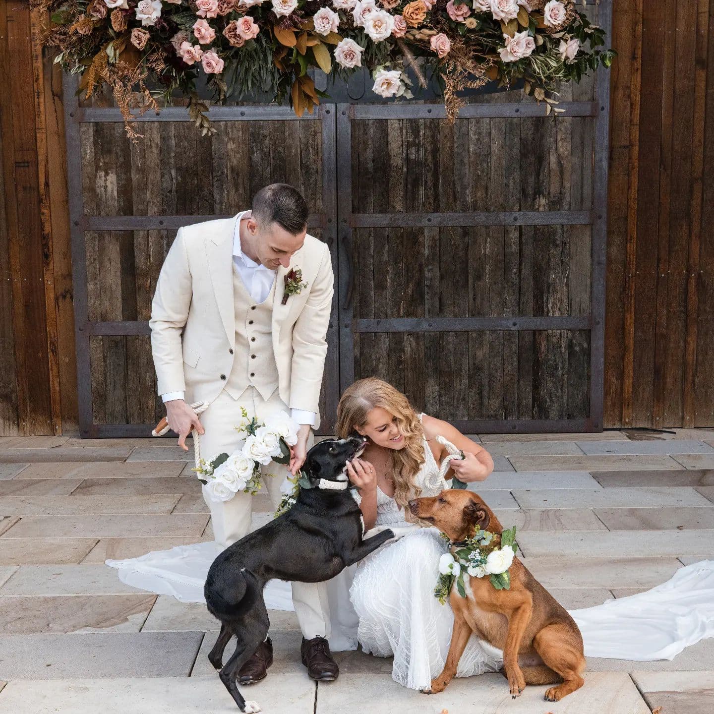 Sit Stay Play Pet Services wedding vendor