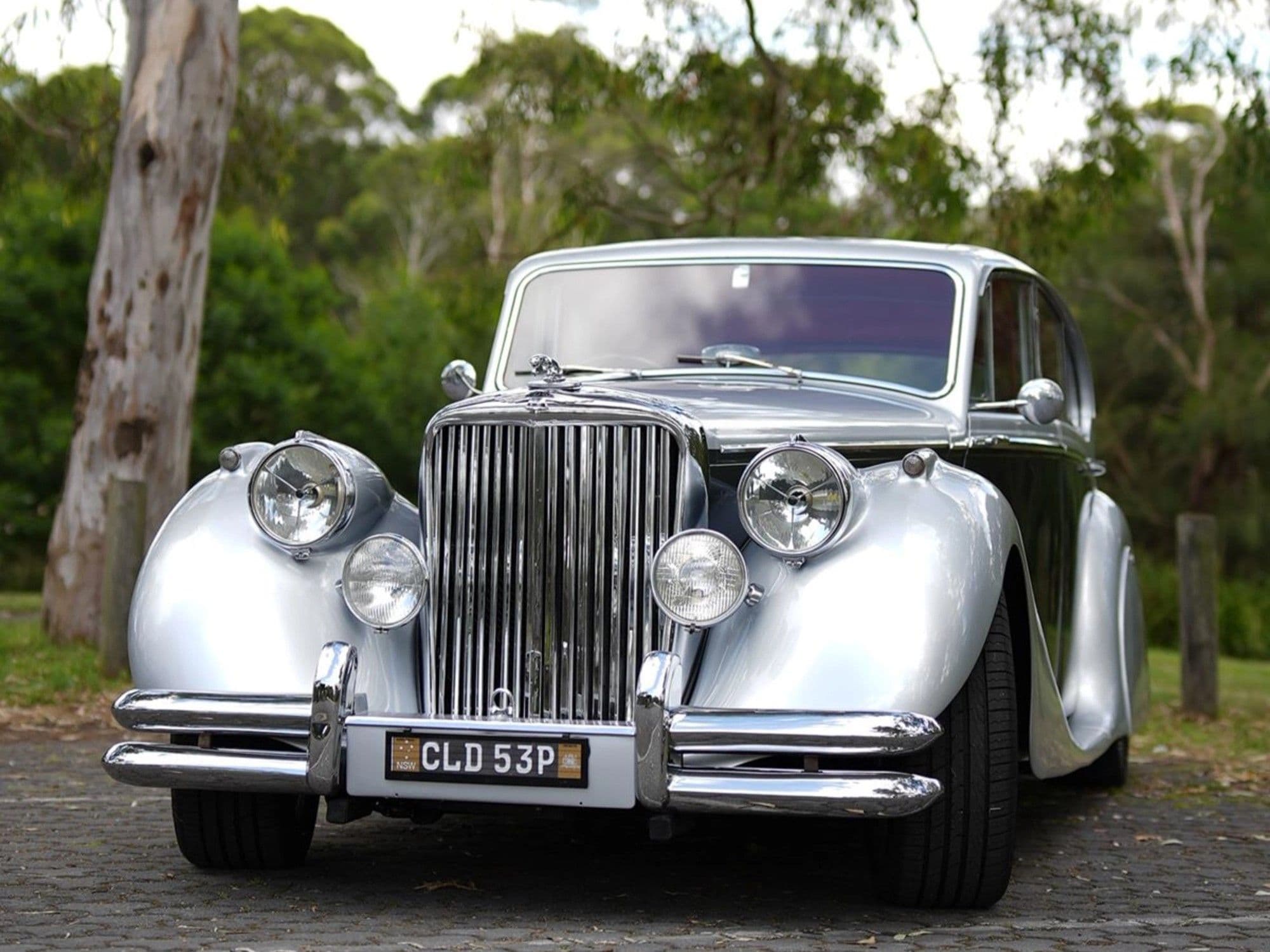 The Vintage Chauffeur - Image 2