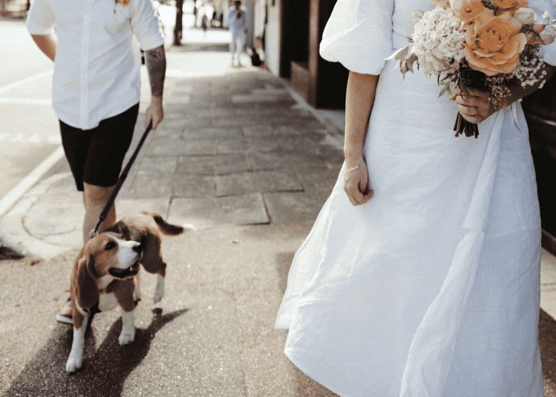 Wedding Tails WA wedding vendor