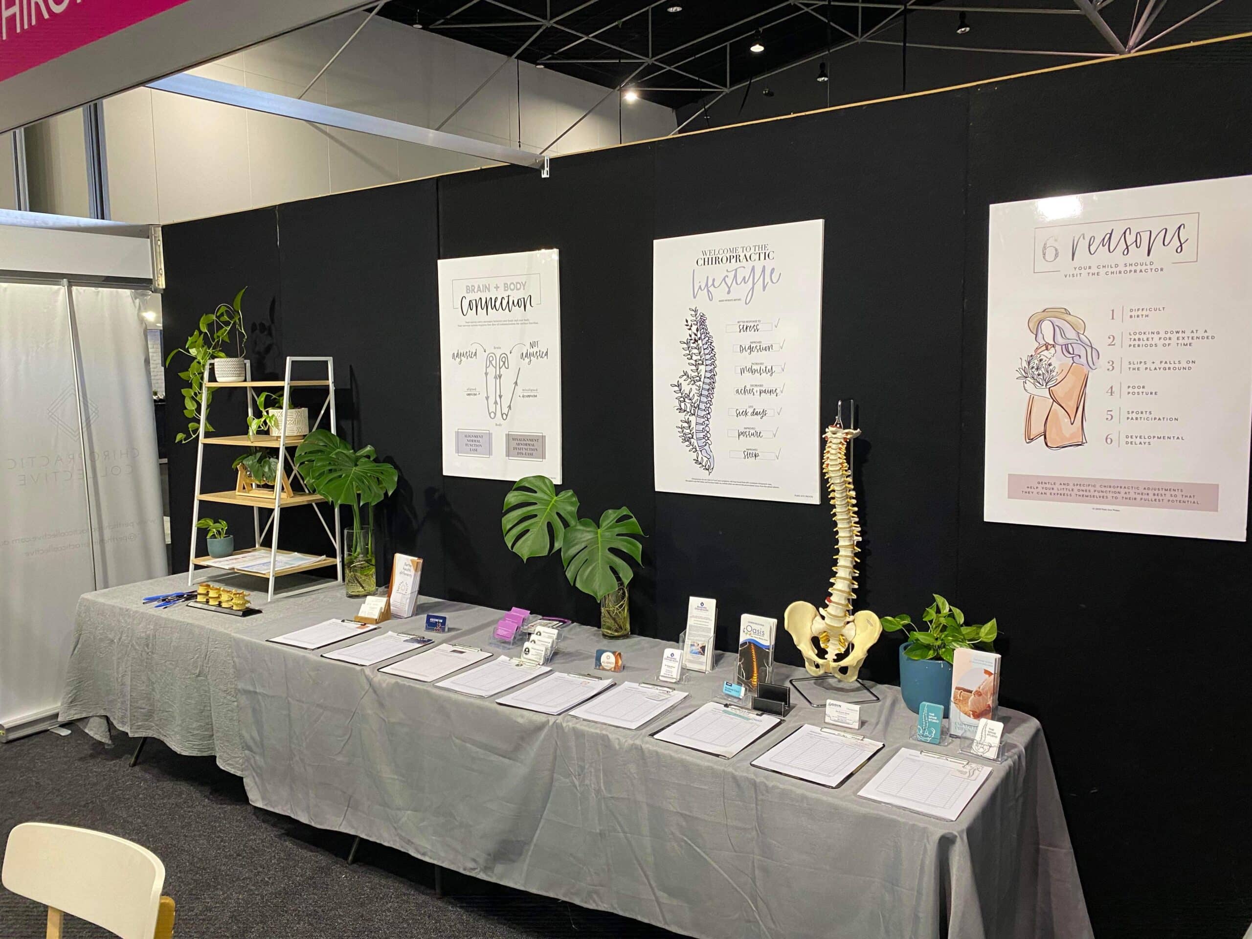 The Chiropractic Collective wedding vendor