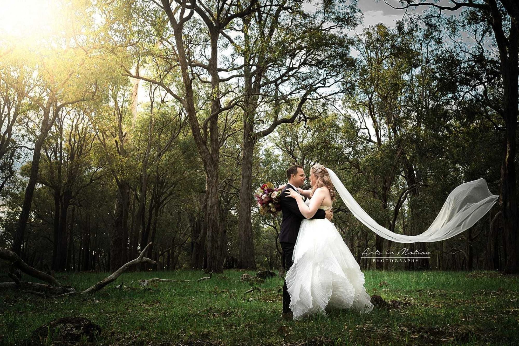Arts in Motion Photography - Image 6