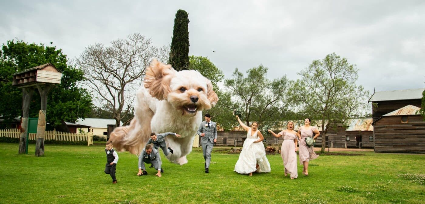 Hello Dawn Photographics wedding vendor