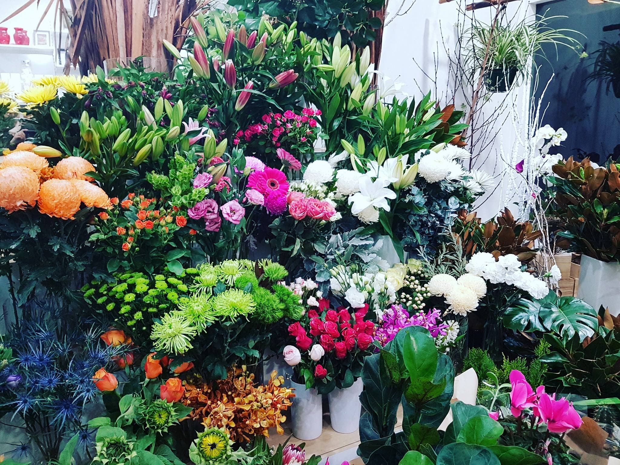 The Blu Tulip wedding vendor