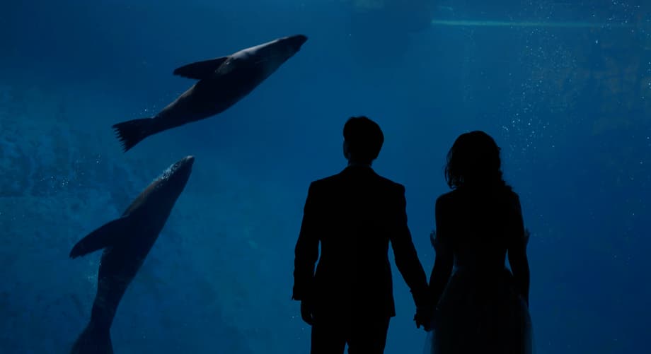 Creative Wedding Films - Image 8